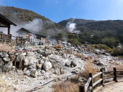 Unzen Onsen Seiunso - 46