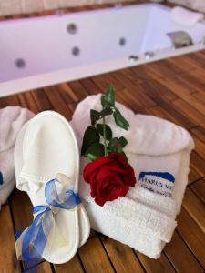 Pharus miseni B&B - 87
