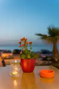 Pearl Beach - 14