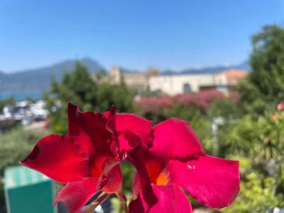 Al Castello - 65