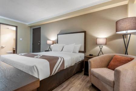 Quality Inn and Suites - 44