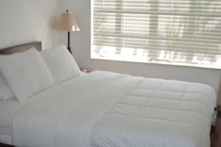 Marriott Vacation Club Pulse, South Beach - 52