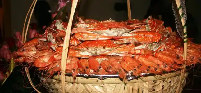 Cham Villas Resort - 9