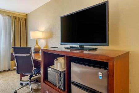 Comfort Inn Denver Central - 53