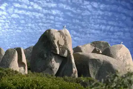 Colonna Grand Capo Testa - 92