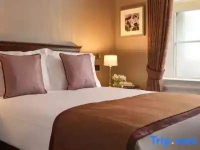 The Shelbourne, Autograph Collection - 104