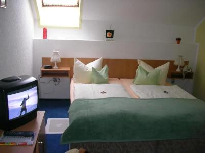 -Pension Am Mühlberg - 29