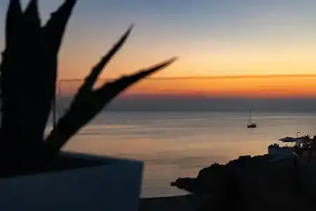 Bellariva Monopoli B&B e Relax - 48