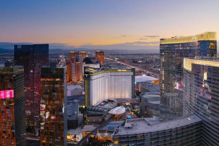 Park Mgm Las Vegas - 26
