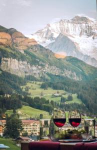Jungfraublick - 5