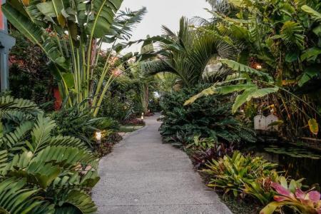 Hacienda de Abajo-Adults Only - 87