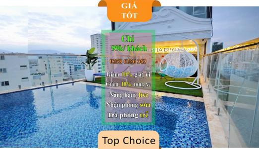 Alpha Bird Nha Trang - Managed By Rhm Group - 4