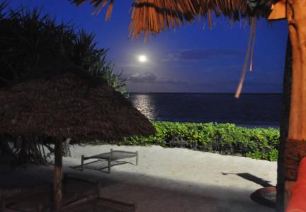 Villa Kiva Boutique - 12