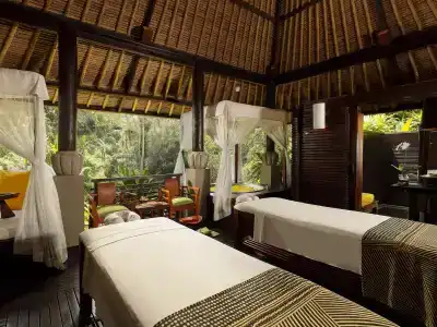 Maya Ubud Resort & Spa - 15