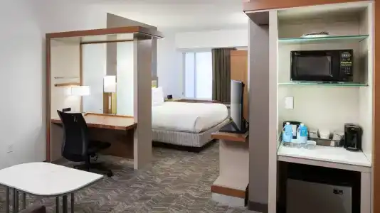 SpringHill Suites by Marriott Orlando at SeaWorld - 51