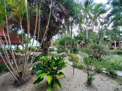 Morning Star Resort - 116