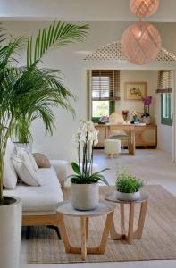 Casa Di Fiori Andros Suites - 101