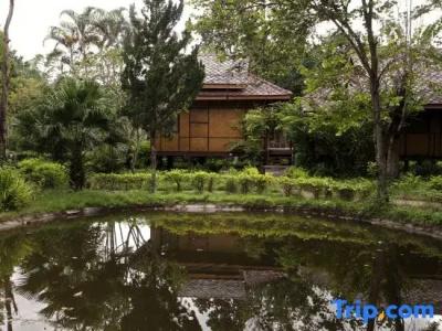 Baan Krating - Sha Plus - 94