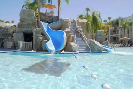 Palm Canyon - 20