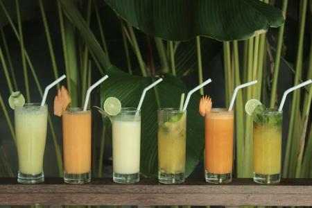 The Evitel Resort Ubud - 12