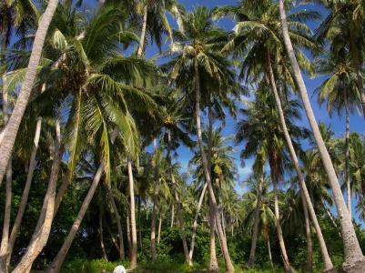 Thundi Sea View - 23