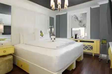 Staypineapple, A Delightful, South End - 38