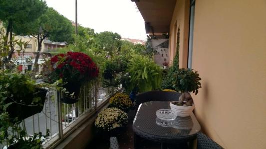 Gregorio Vii Luxury Suites - 7