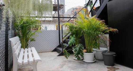 Tropical Summer Hostel - 51
