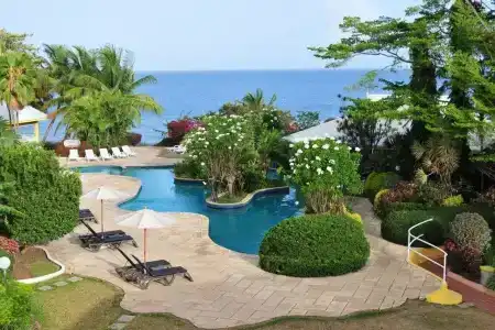 Tropical - 16