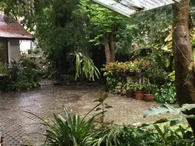 Baan Songjum - 56