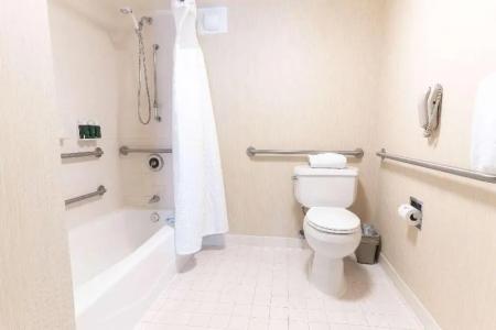 Sonesta Es Suites San Antonio Downtown Alamo Plaza - 88