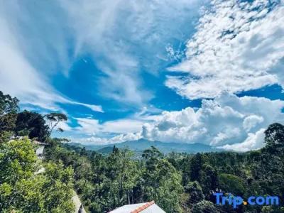 The Ella Nature Life Guest Inn - 33