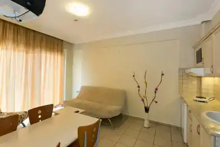 alenz suite - 8