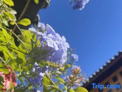 Yonsamity Chain Inn Yunqing Branch - 46