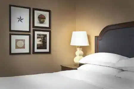 Sheraton Suites Houston Near the Galleria - 27