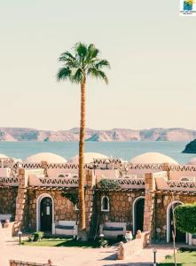 Seti Abu Simbel Lake Resort - 44