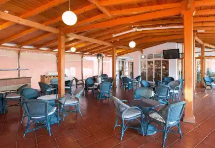 Relaxia Olivina - 15
