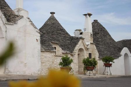 Tipico Resort - 13