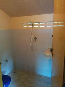 Dolphin Bungalows - 4