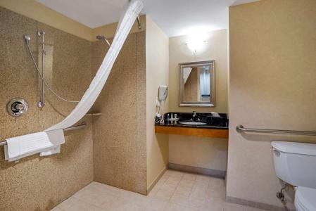 Comfort Suites North - 65