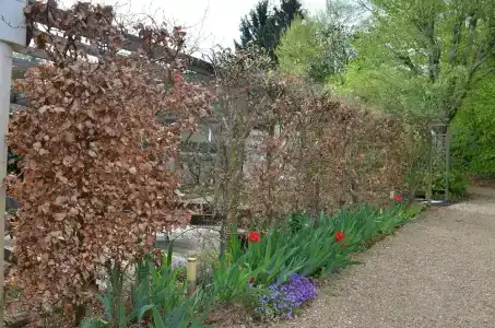 Manoir Du Parc (Adults only) - 143