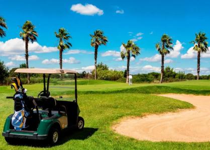 Palmyra Golf & Spa - 14