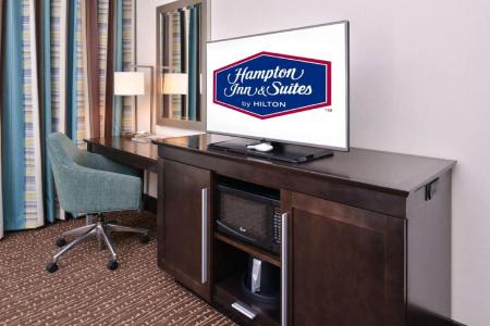Hampton Inn & Suites - 45