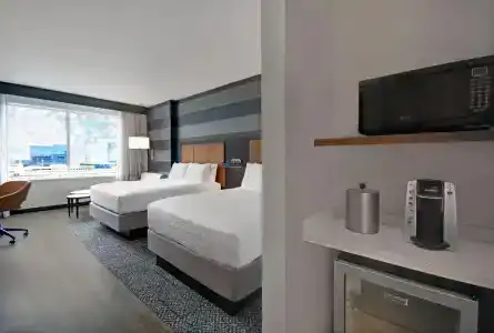 Holiday Inn Express - Houston - Galleria Area, An Ihg - 75