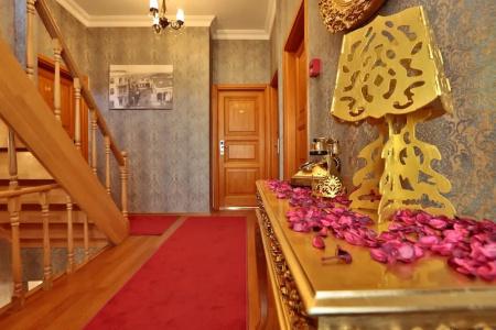 Mimoza Butik Otel Buyukada - 10