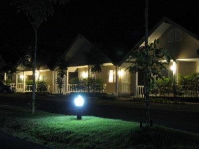 Krabi Flora - 9