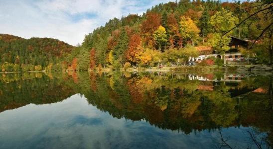 Restaurant Alatsee - 14
