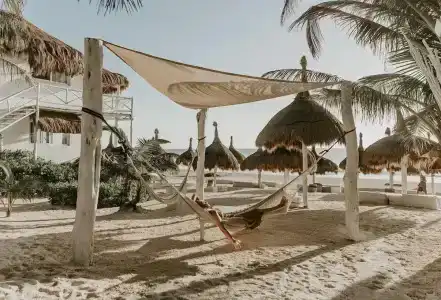 Coco Limited - 46