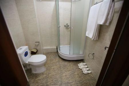 Altai Business - 13