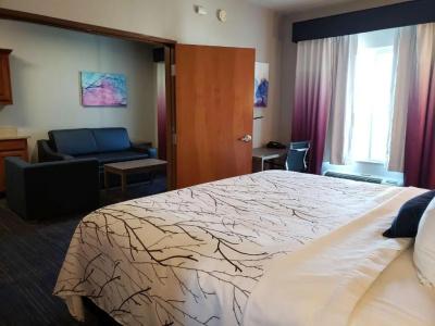 Best Western Plus San Antonio East Inn & Suites - 65